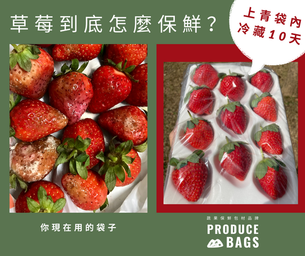 \烘焙工作室 實用組合/ 【上青袋】：精緻新鮮水果 保鮮袋