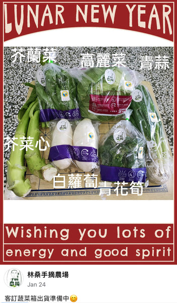 【上青袋】蔬果分裝長形保鮮袋