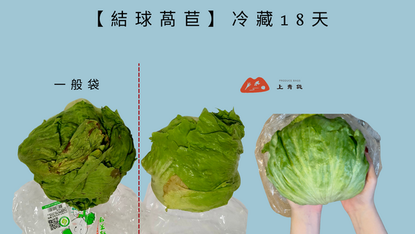 【上青袋】水耕蔬菜保鮮 進出口蔬果保鮮 葉菜類保鮮 農商專用公版袋23*45 無塑化劑